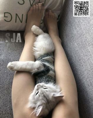 飘雪高清完整版在线观看_HD高清电影在线